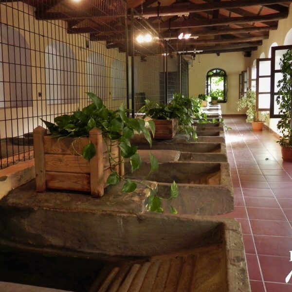 LIETOR lavadero del Ramblon Miralmundo