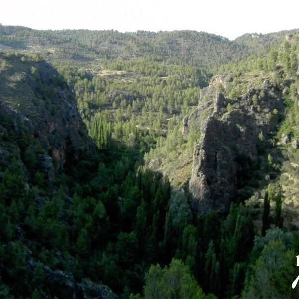 Cueva del Nino Visitas guiadas Ayna Sierra del Segura entorno Miralmundo