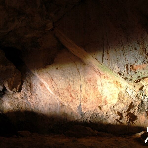 Cueva del Nino Visitas guiadas Ayna Sierra del Segura pinturas paleoliticas Miralmundo