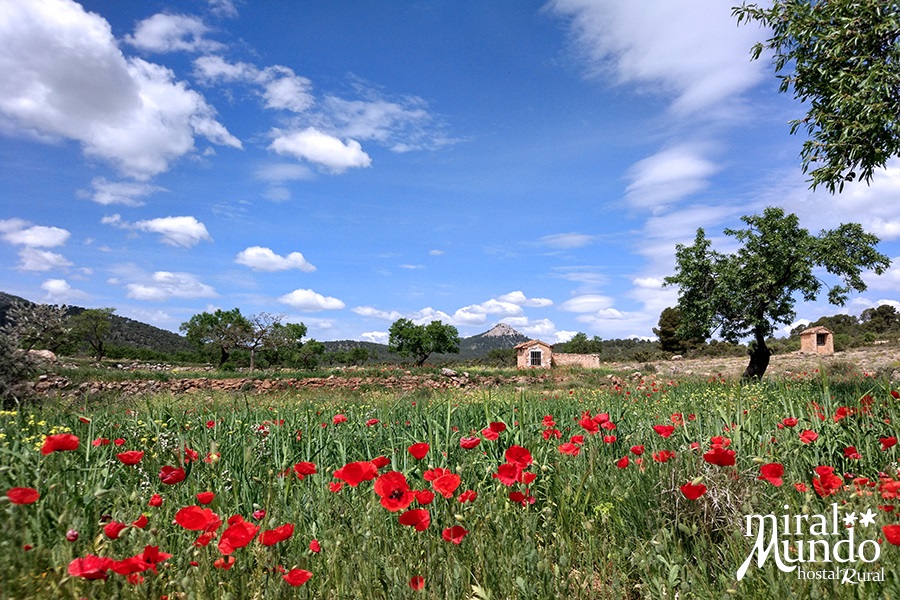 Aýna-paisajes-primavera-Sierra-del-Segura-Albacete-Miralmundo