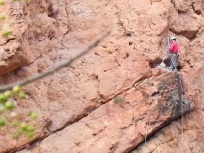 actividades escalada