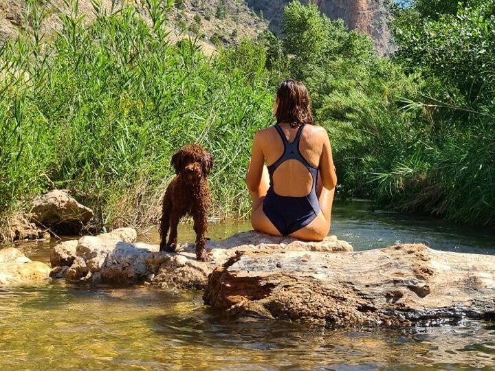 Apartamento rural Miralmundo mascotas rio